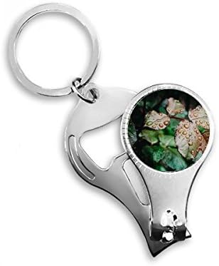 צמח עלה צמח טבע תמונה ציפורניים טבעת טבעת מפתח בקבוקי שרשרת פותחן קוצץ