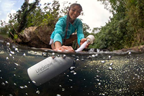 Lifestraw Go בקבוק פילטר מים נירוסטה עם קש פילטר משולב דו-שלבי, מבודד ואקום קיר כפול, לטיולים רגליים,