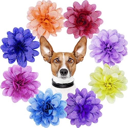 צווארון צווארון צווארון כלבים צווארוני פרחים מחמד חיות מחמד לאביזרי טיפוח של צווארון גורים