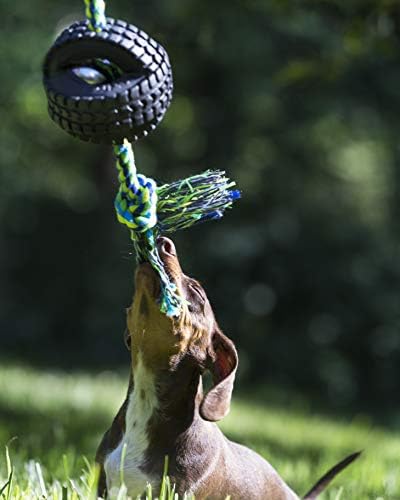 צעצועי כלבים של כדורי הכדור של Qwerk