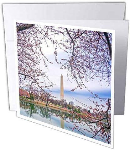 3רוז כרטיס ברכה אנדרטת ג ' ורג 'וושינגטון בוושינגטון הבירה, 6 איקס 6
