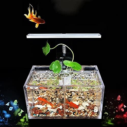 מיכל דגים אקרילי WPYYI קופסת בידוד חילופי מים בחינם עם מנורת שולחן LED משאבת מים מסננת אקווריום