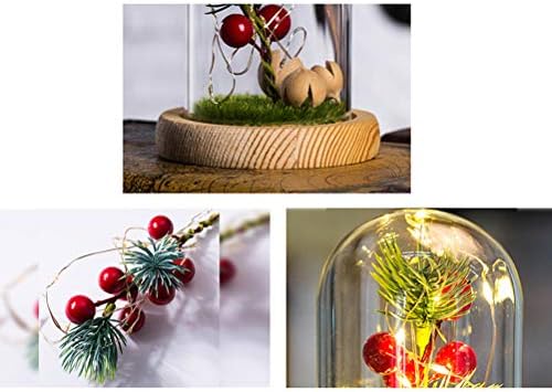 Pretyzoom צמחים עיצוב סימולציה לחג המולד תצוגת פירות זכוכית כיסוי זכוכית מזויפת כיסוי זכוכית Diy Diy כיסוי