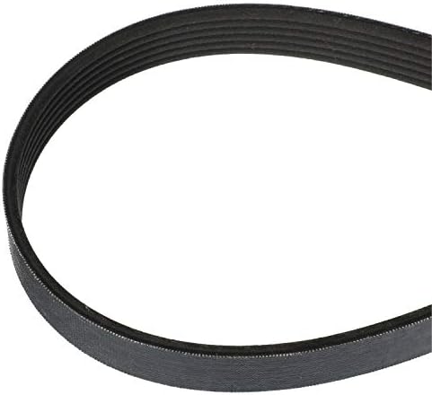 Quicksilver 8M0150824 ערכת חגורה וגלגלת סרפנטין - כוללת חגורה באורך 2,197 ממ וגלגלת החלפה