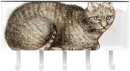 מארגן מדף חתולים חום עם 5 ווים מדף מדף מטבח קיר מדף אחסון רב -פונקציונלי