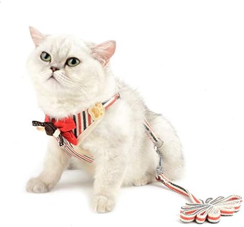 סלמאי חתול ורצועה להליכה בריחת הוכחה רשת אפוד לרתום לכלבים קטנים חתלתול גורים קל על מעיל מרופד חתול
