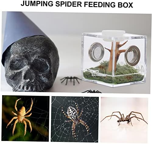 2 סטים שוער מארז קריטר טיפוס מקרה דו חיים מיקרו בקיעת האכלת טנק עכבישים-שקוף סלון עכביש מחזיק