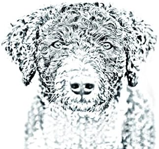 כלב מים ספרדי, מצבה סגלגלה מאריחי קרמיקה עם תמונה של כלב