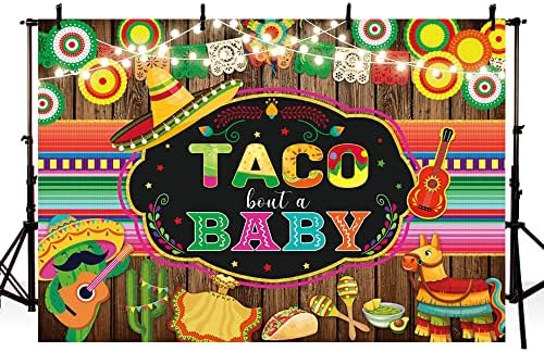 טאקו עם תינוק רקע מקסיקני פיאסטה תינוק מקלחת מסיבת קישוטי צילום רקע מקסיקו קקטוס בהריון הכרזה מין