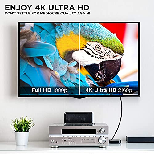 4K HDMI 2.0 כבל 25 רגל על ​​ידי Ritzgear. 18 GBPS Ultra במהירות גבוהה מחברי ניילון קלועים ומחברי זהב -