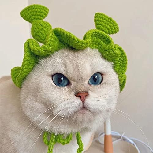 כובע חיות מחמד מצחיק Shrek חתול כובע בעבודת יד חוט צמר סרוג בעבודת יד, משקפי שמש של חיות מחמד קלאסיים ， החל