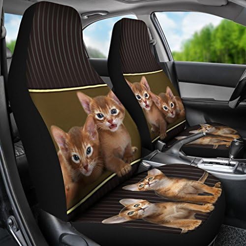כיסויי מושב מכונית של מכונית החתול האביסיניאנית