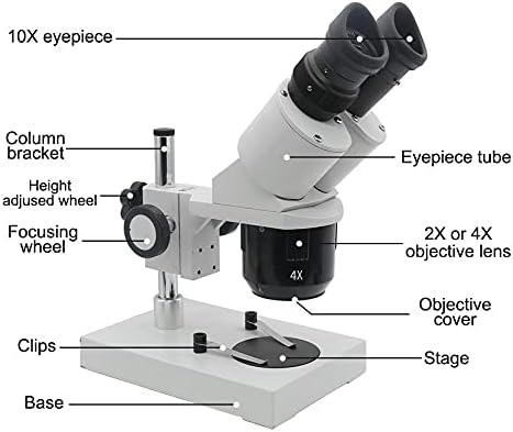 מיקרוסקופ סטריאו משקפת 10-20-30-40 מיקרוסקופ תעשייתי מואר עם עינית לבדיקת מעגלים מודפסים לתיקון