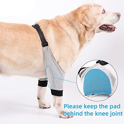 כלב התאוששות רגליים קדמיות שרוול רך מרופד כלב מרפק סד לחיות מחמד רגל פצעים מגן כלב קצר מכנסיים עבור