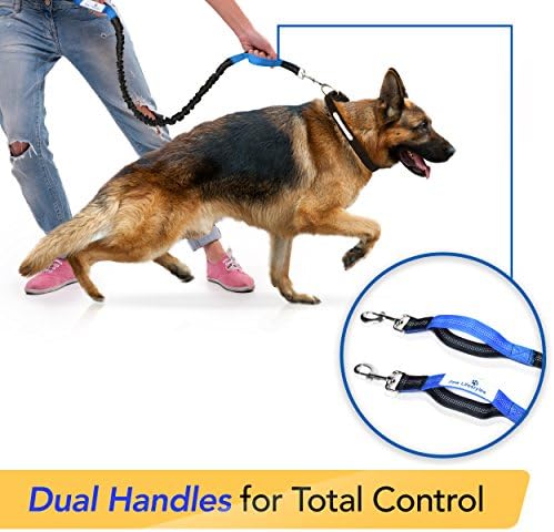 אורח חיים של כפות ידיים נשלפות רצועת כלבים בחינם עם כיס סמארטפון - ידית כפולה רצועת המותניים של באנג'י עד