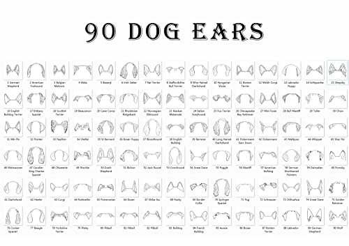 אישית זמני קעקועים כלב אוזן מתאר קעקוע מדבקות מותאם אישית עם כל שם מצחיק מתנה עבור גברים נשים ילדים
