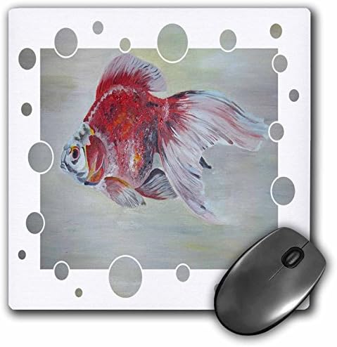 3drose LLC 8 x 8 x 0.25 אינץ 'כרית עכבר, דג זהב של ריוקין - דג זהב, ריוקין, פנטיל, דגים, דגי אקווריום,