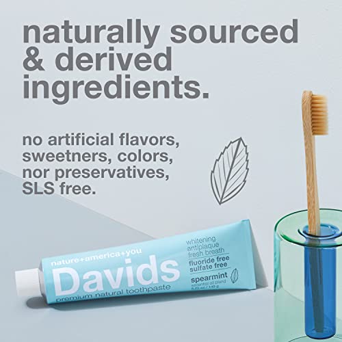 משחת שיניים הלבנה טבעית של דייווידס, נענע, אנטי פלאק, ללא פלואוריד, ללא סלס, צינור מתכת, רולר צינור כלול, גודל