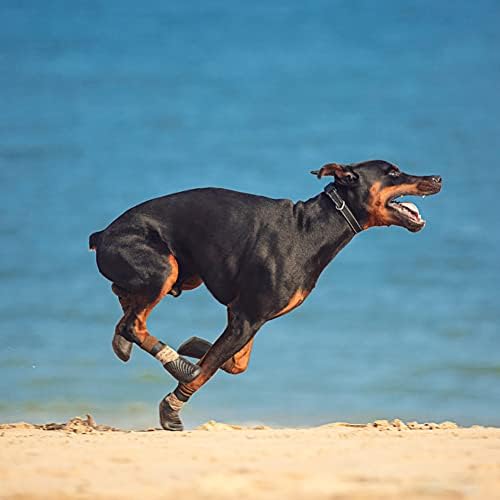 Mochalight 2 זוגות אנטי להחליק כלב מגף נעלי כלב אטום למים גרביים לאחיזת כלבים חיצונית נעליים לשימוש