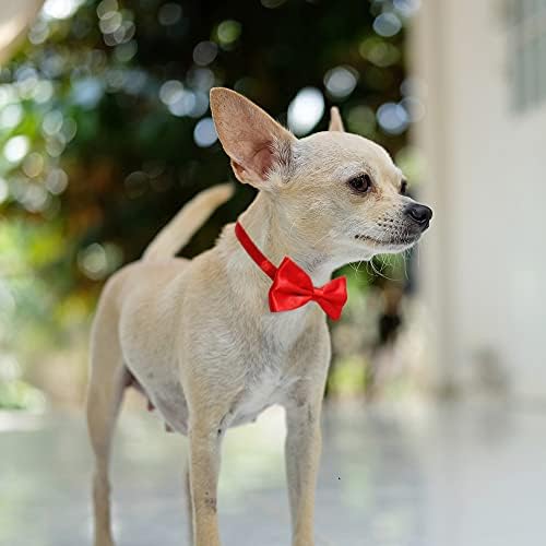 קומוקס אדום קשת עבור כלב, מתכוונן כלב עניבת פרפר צווארון עבור בינוני וגדול כלבי חתולי חיות מחמד