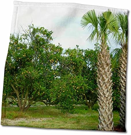 נוף טרופי פלורן 3 דרוז - עצי תפוז ודקל פלורידה - מגבות