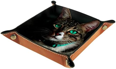 עור שרות מגש, בעלי החיים חתול ירוק עין, קופסות אחסון קוביית שולחן העבודה אחסון ארגונית עבור