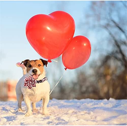 HFDGDFK צווארון כלב לב אדום עם פרחים עם צווארון כלב מחמד מתכוונן לפרחים לכלב קטן בינוני גדול