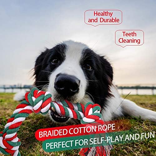 צעצוע של חבל כלבים של Wellbro, צעצועי בקיעת שיניים בגור חג המולד עם קשרים, צעצוע של כלב חבל כותנה