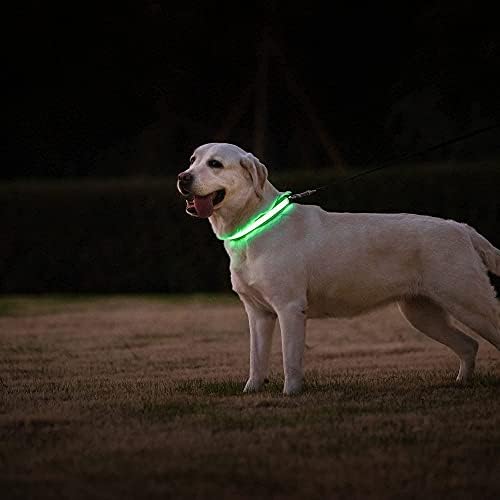 צווארון כלבים LED LED - USB נטען צווארוני הדלקת אור נטענים לכלבים קטנים בינוניים גדולים