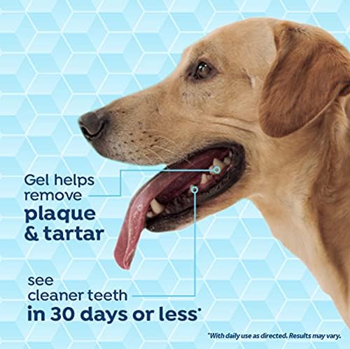נשימה רעננה מוסמך בריאות אוסף וטרינר חוזק אוראלי טיפול ערכת לכלבים גדולים-מסיר פלאק & מגבר; אבנית-מרענן