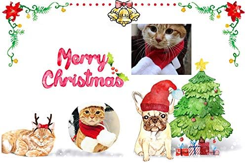 סט תלבושת חג המולד של כלב קומני, כובע חג מולד כלב ותלבושות חג המולד של חיות מחמד, כובע סנטה קלאוס מתכוונן