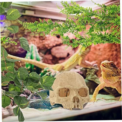 3 סטים זוחלים להסתיר ממערות צמחים מלאכותיים שולחן העבודה דקור בית דקורטיבי זוחלים צמח חממה זוחלים צמח חיקוי