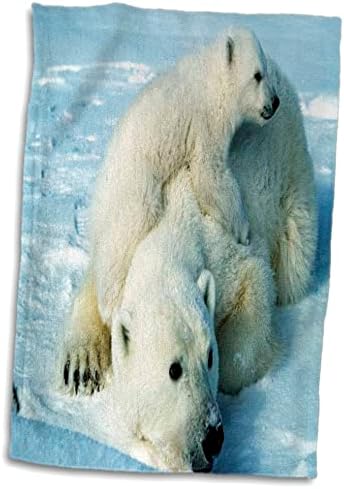 חיות פלורן 3 דובר - דוב קוטב שובב n אמא שלה. Jpg - מגבות