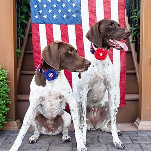 מופע חיות מחמד 12 יחידות ארהב דגל פטריוטי כלבים קטנים קסמי צווארון פרחים פרחים קשת קשת לימי 4 ביולי ימי