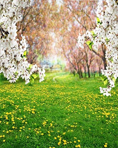תמונה 8 * 8 רגל אביב נוף תמונות רקע כפרי גן פרק צהוב שן הארי אחו פרחי פריחת רקע לצילום פרחים מתוק