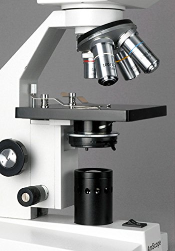 מיקרוסקופ ביולוגי משקפת אמסקופ ב100ג 40-2500, לבן