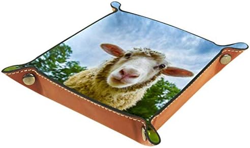 מגשי שולחן במשרד מוום, כבשים מחפש אותך, עור שרות מגש סורגה קופסות קטן לתפוס מגש עבור בית משרד
