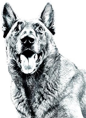 מלינואה, מצבה סגלגלה מאריחי קרמיקה עם תמונה של כלב