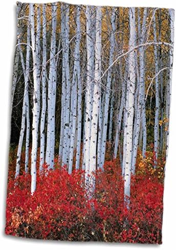 3 דרוז פלורן אמריקה היפה - יער אספן ביוטה - מגבות