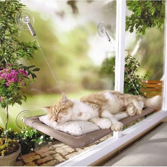 חלון ערסל עם עמיד כבד החובה יניקה כוסות חתול מיטה