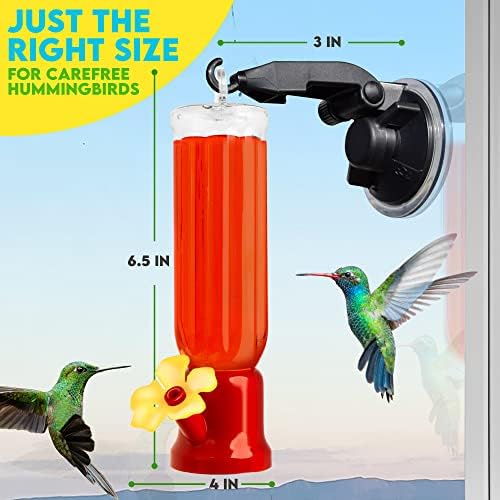 מזין Hummingbird עם קולב חלונות - מזיני יונקים של Hummingbird לחיקוי תלוי ביכולת צוף 2.4 גרם עם כוס יניקה