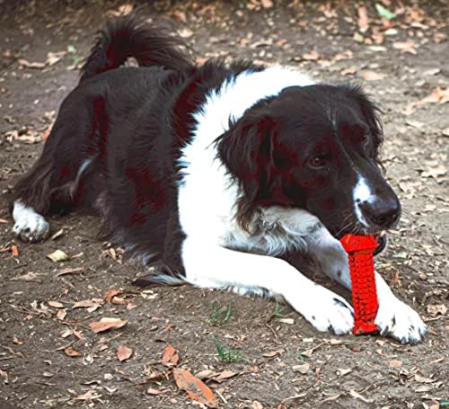 צעצועי כלבים לטום לעיסות אגרסיביות - 3 צעצוע של כלבים לכלבים לכלבים קטנים ובינוניים - צעצוע לעיסת כלבים