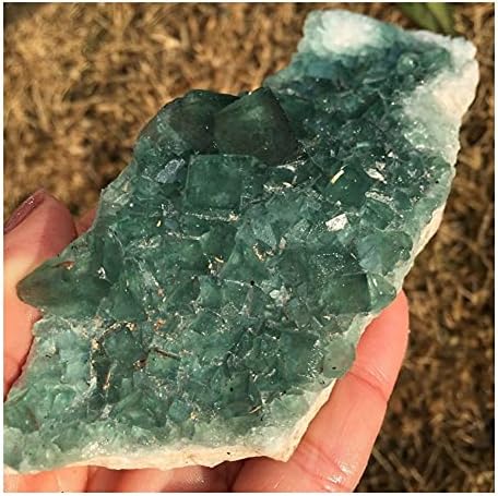 WGPHD Health & Hame Fluorite ירוק טבעי קריסטל אוקטאהדרל דגימות סלע