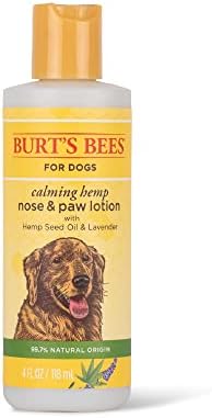 הדבורים של ברט לכלבים מרגיעות כפות קנבוס ותחליב אף קרם כלבים קרם כפות כלבים מזור עם שמן זרעי קנבוס ולבנדר