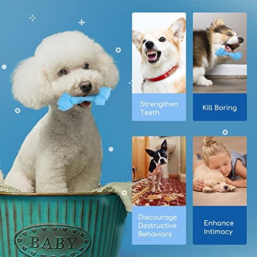 צעצוע לעיסה של כלב נובלזה, צעצוע עצם כלב קשה עמיד לבקיעת שיניים ושיניים, צעצוע גומי טבעי בטן גומי