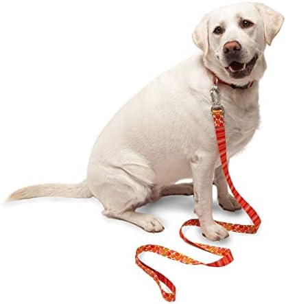 Seawoof צווארון כלבים גדול - פלסטיק ממוחזר כלי נוח נוח כלי אימון כלבים - צבעים ורודים - גדולים