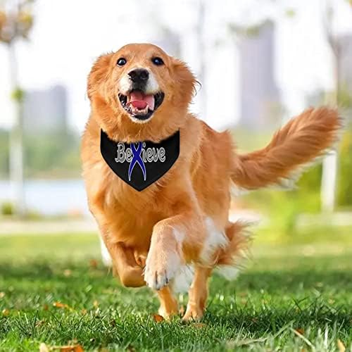 סרטן סרטן המעי הגס סרטן מאמינים כי כלבים בנדנה מתכווננת צווארון חיות מחמד צעיף משולש חמוד משולש
