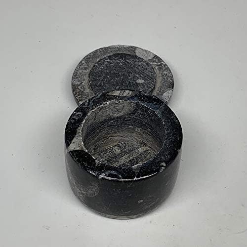 וואטנגמס 129.5 גרם, 1.6 איקס 2 שחור מאובן אורתוצ' רס קופסא תכשיטים צורה עגולה מלוטשת בעבודת יד ממרוקו, מינרלים,