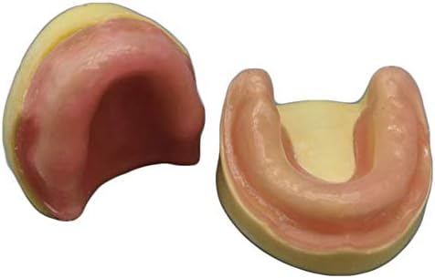 הדגמת רופא שיניים של רופא שיניים של KH66ZKY מודל שיניים מודל חניכיים רכים תרגילי למידה שיניים למבוגרים