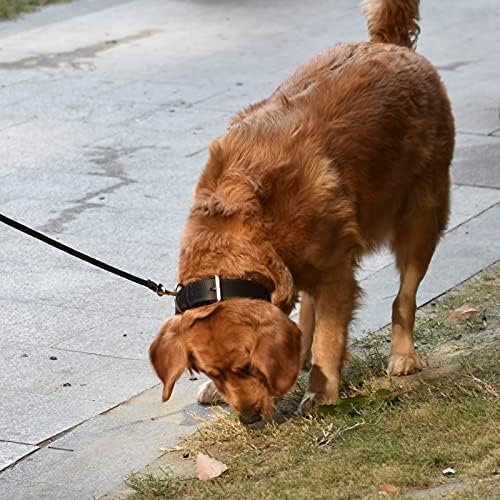 צווארון כלבי עור לוקסקו, עור לטיגו מלא של תבואה, רך ועמיד, לכלבים בינוניים וקטנים, שחור, חום